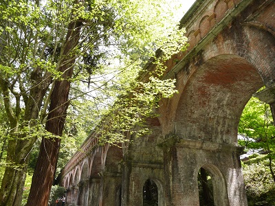 新緑の頃に・・・ ~南禅寺(京都)~_c0235725_191154.jpg