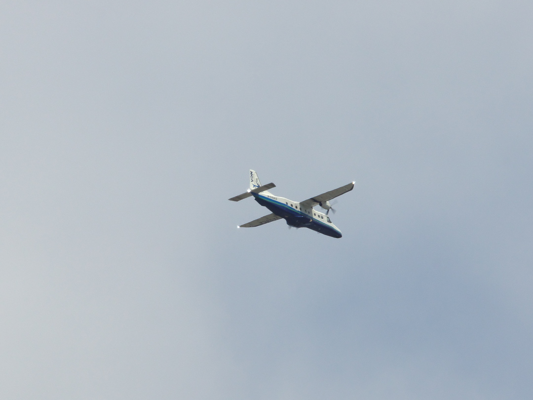 d0137627_016391.jpg