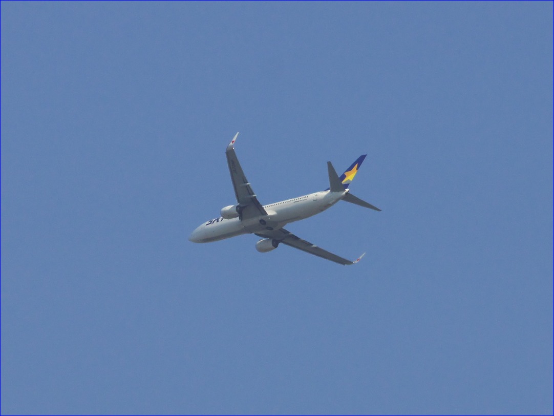 d0137627_029577.jpg