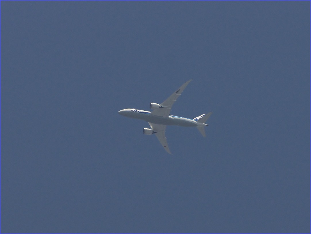 d0137627_035768.jpg