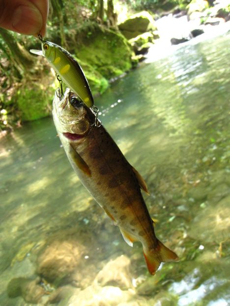 a0233432_02141.jpg