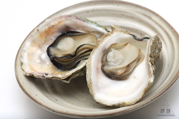 323 松江市 ~岩ガキを食う~_c0211532_14154453.jpg