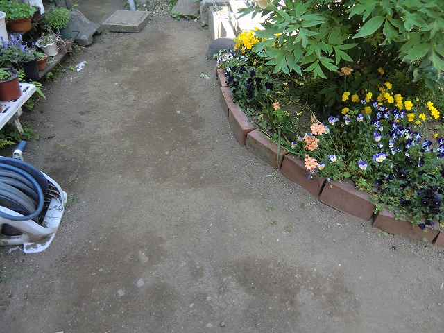 a0006033_1584838.jpg