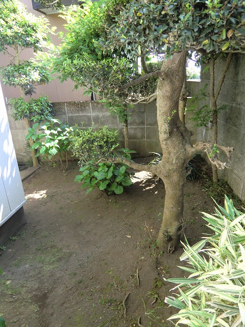 a0006033_159154.jpg