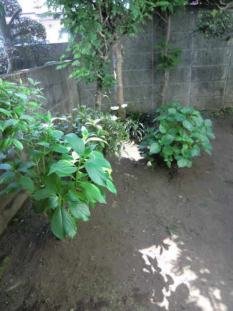 a0006033_159965.jpg