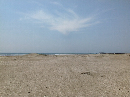 親友からの温かい気持ち _d0011635_1755781.jpg