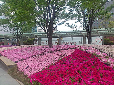 c0165636_97398.jpg