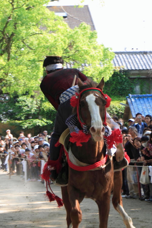 駆け馬神事（藤の森神社）_d0247340_1521017.jpg