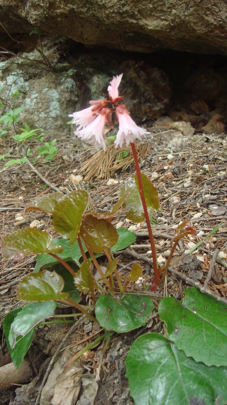 f0219043_10222569.jpg