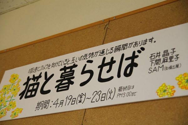 ◆ゆめの写真展デビュー「猫と暮らせば・・・」_b0008655_22111315.jpg