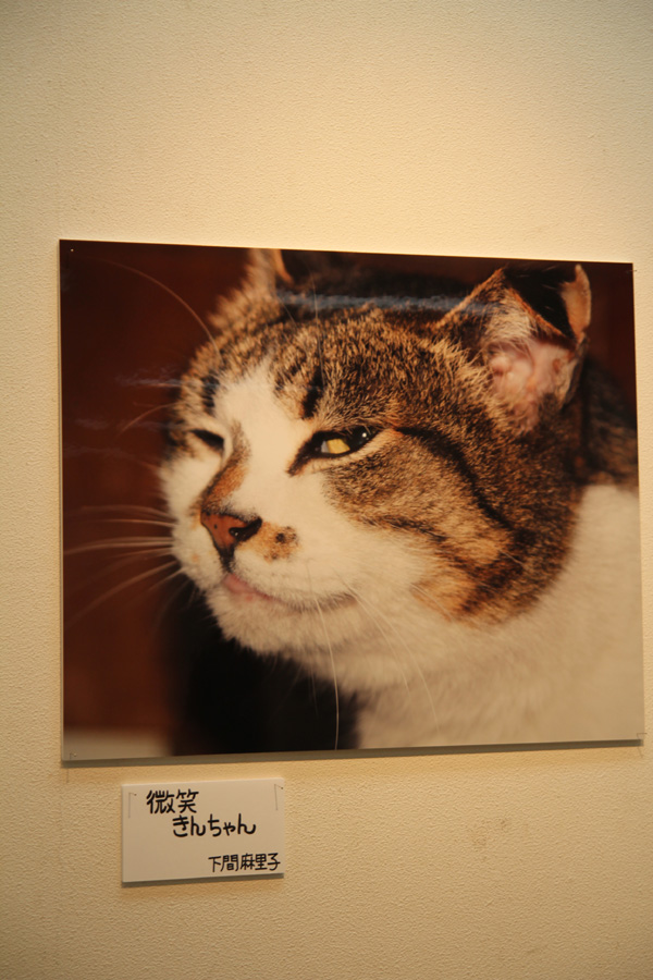 ◆ゆめの写真展デビュー「猫と暮らせば・・・」_b0008655_2232891.jpg