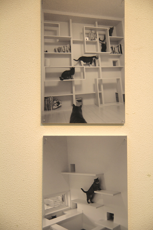 ◆ゆめの写真展デビュー「猫と暮らせば・・・」_b0008655_22355021.jpg