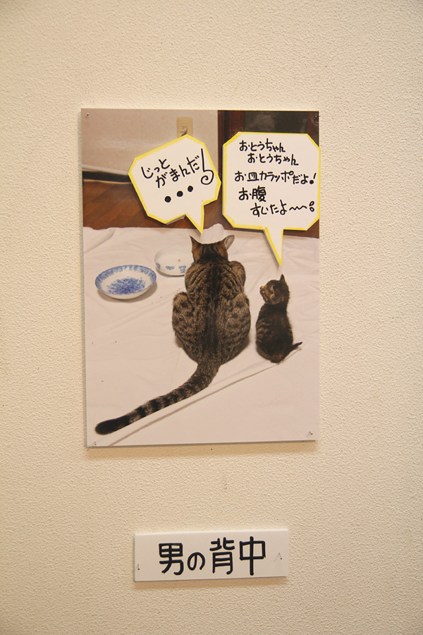 ◆ゆめの写真展デビュー「猫と暮らせば・・・」_b0008655_22385616.jpg