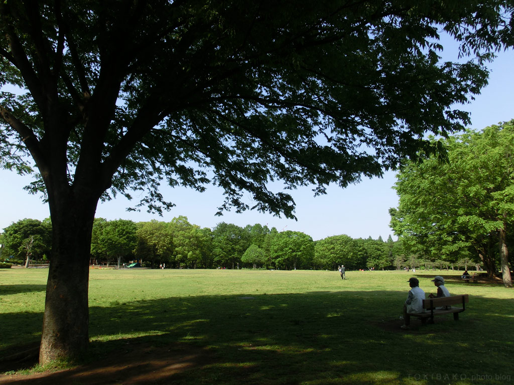 d0100156_014565.jpg