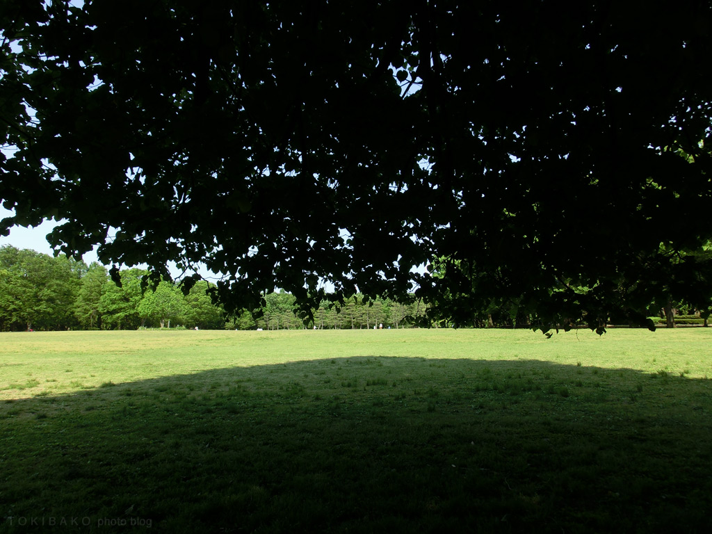 d0100156_0173666.jpg