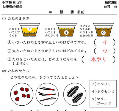 小３の理科ドリル 時空先生のドリルプリント