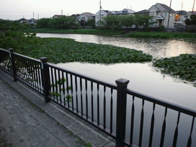 b0108363_2185589.jpg