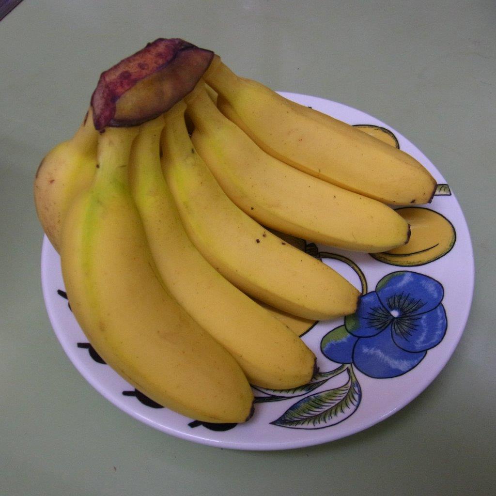 a0123465_0182550.jpg