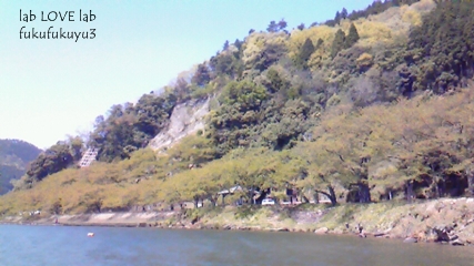 b0196568_17451937.jpg