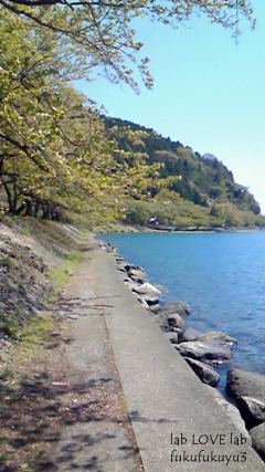 b0196568_17465772.jpg