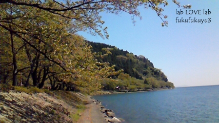 b0196568_17471740.jpg