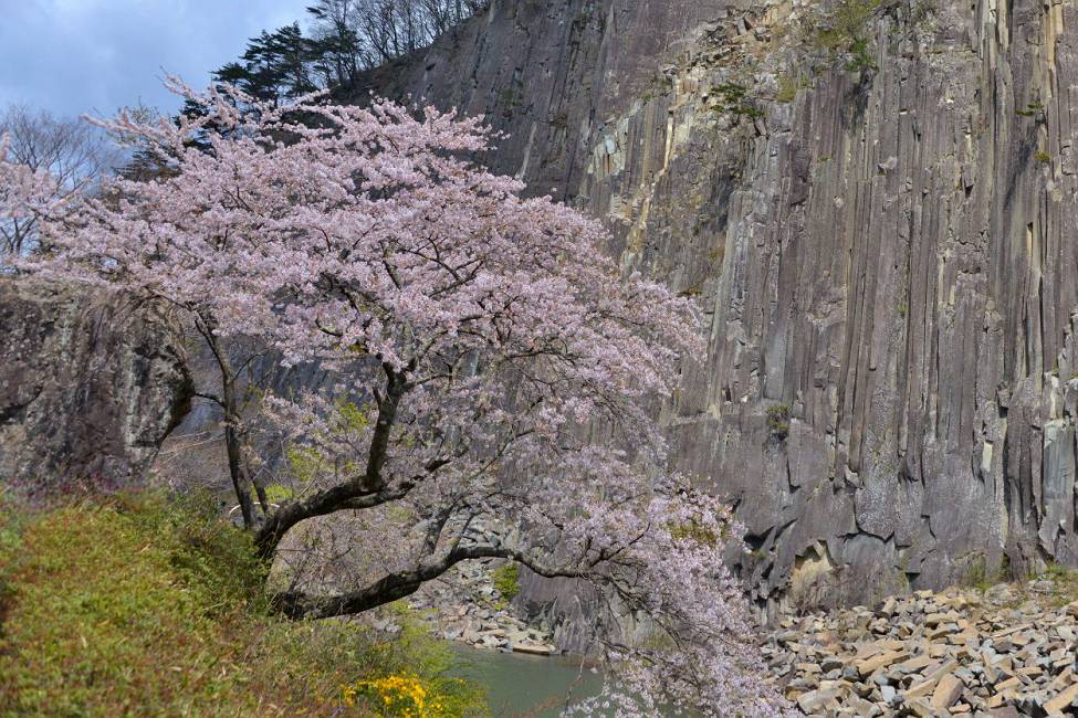 材木岩の桜(白石市)4/28撮影_b0223668_8381387.jpg