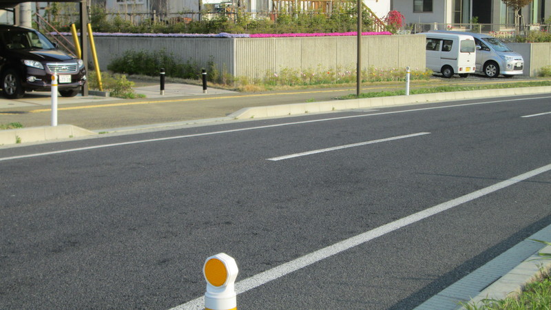 最近の散歩。_d0159273_743063.jpg