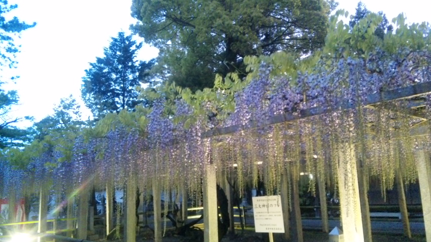 f0200477_22105888.jpg