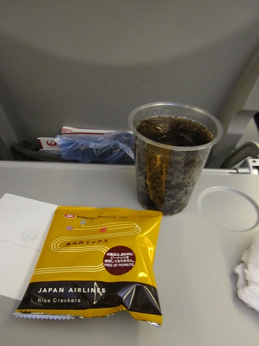 2013.GW Chicago&N.Y旅行記 往路の空港と機内食_a0133679_23213695.jpg