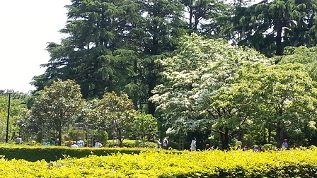f0228680_9214784.jpg
