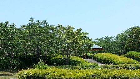 f0228680_921541.jpg