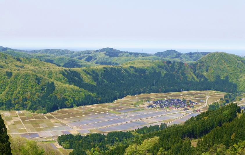 d0182188_1821697.jpg