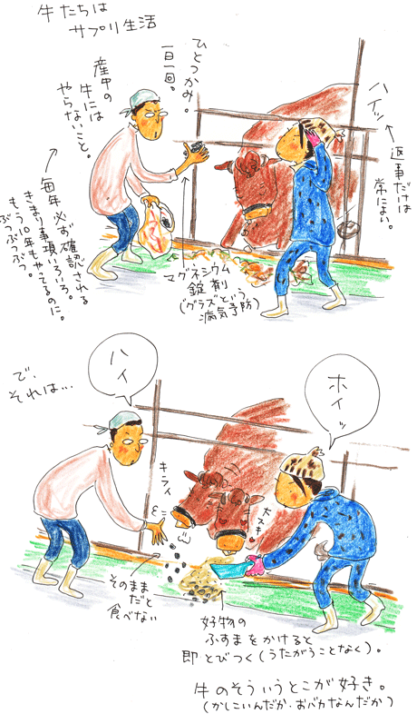 牛たちのサプリ生活_f0236291_5252378.gif