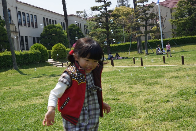 d0181492_1126795.jpg