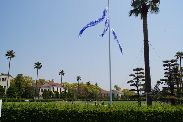 d0181492_117787.jpg