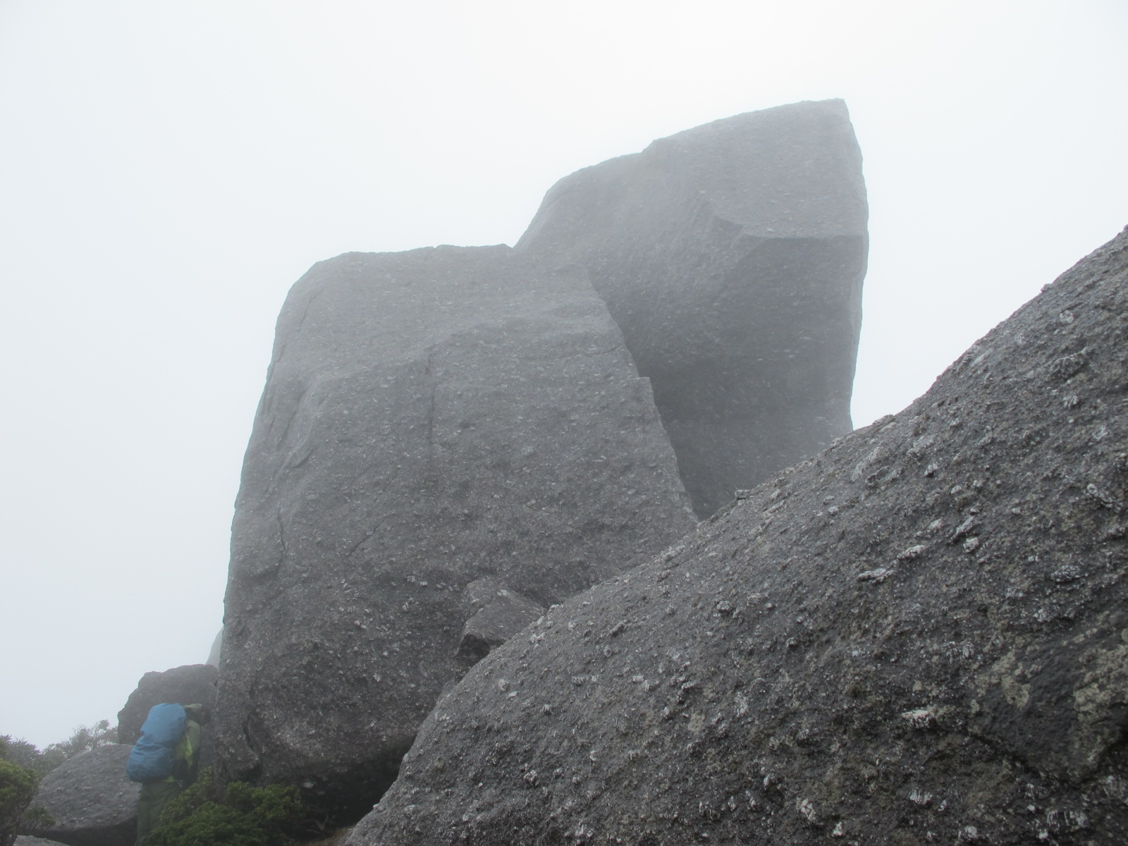 屋久島の旅②～主峰宮之浦岳（永田岳）＆黒味岳を踏破　　2013.4.30（火）くもりのち雨_a0166196_22475463.jpg