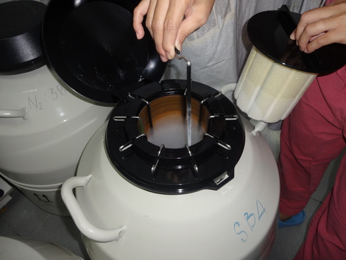 d0170396_9312465.jpg