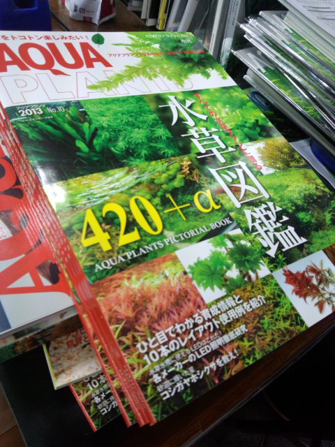 AQUA PLANTS No.10　入荷！_b0141806_15525492.jpg