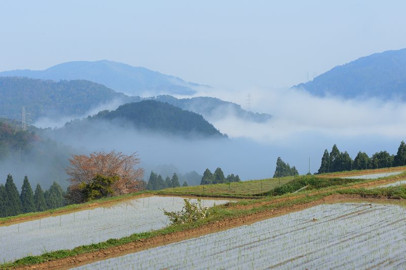 山上の棚田@樒原 其の三_f0032011_18242463.jpg