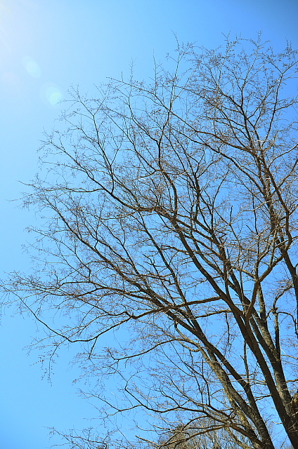 2013年5月10日（金）：ヘビも喜ぶ日差し[中標津町郷土館]_e0062415_2045955.jpg