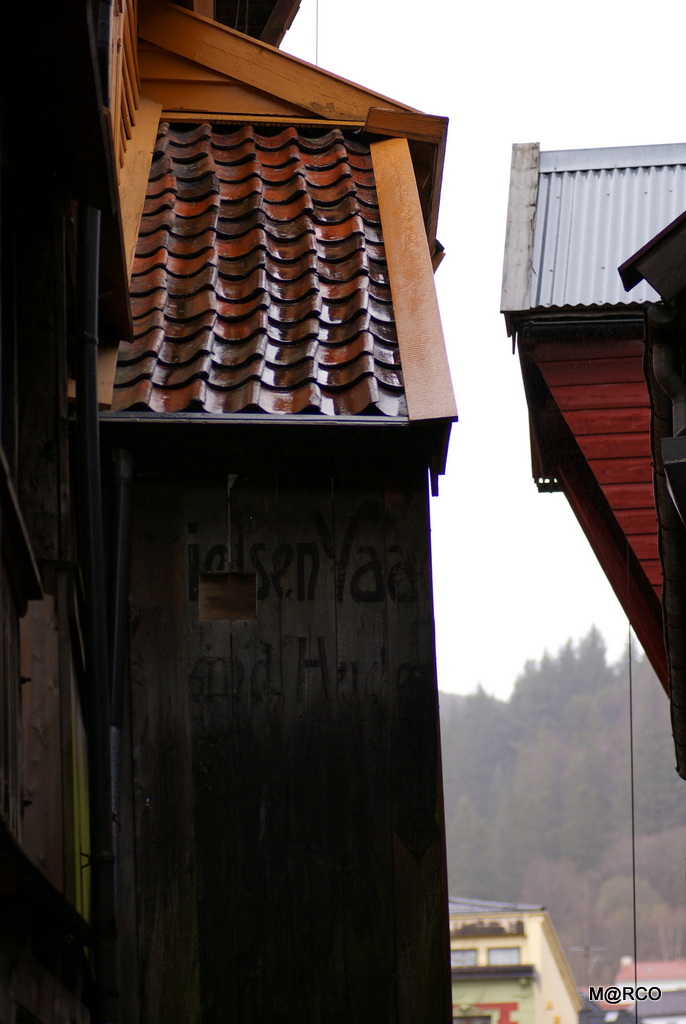 a0240721_23272211.jpg