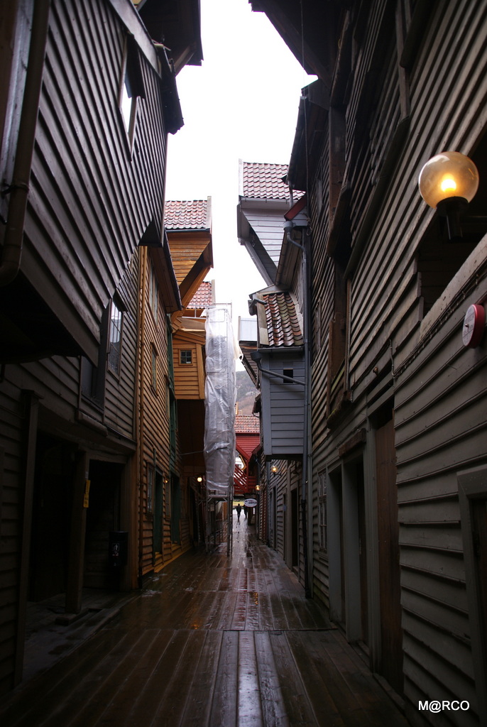 a0240721_23275153.jpg