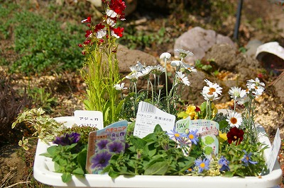 f0170524_13273226.jpg