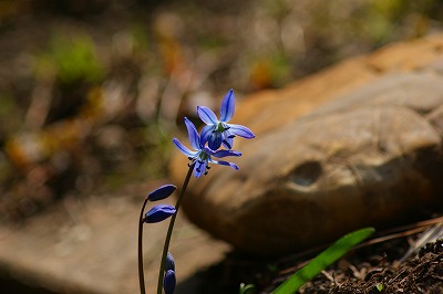 f0170524_13292440.jpg