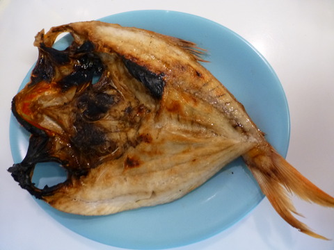 金目の産物_e0237625_18255341.jpg