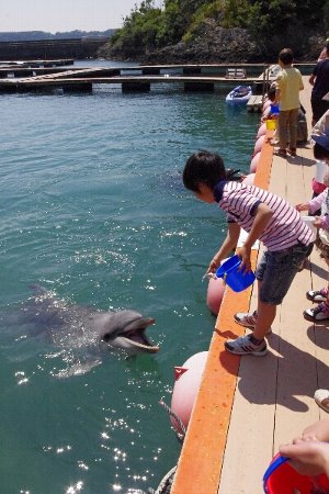 奈良～和歌山　車中泊の旅（３日目）前編_c0113733_1235367.jpg