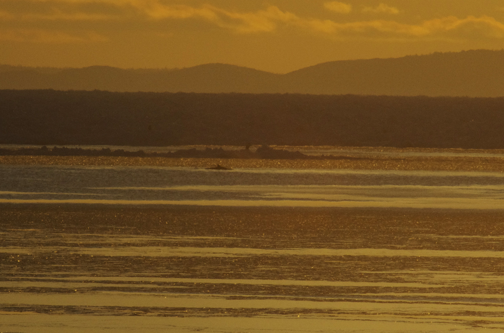 b0247838_024771.jpg