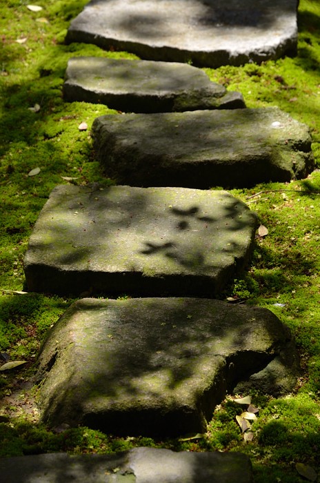 e0055138_03951.jpg