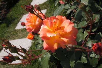 e0107539_22304072.jpg
