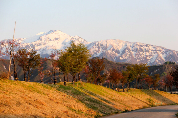 c0153740_92257.jpg